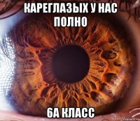 кареглазых у нас полно 6а класс