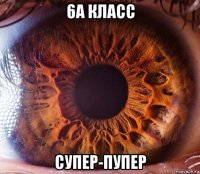 6а класс супер-пупер