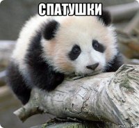 спатушки 