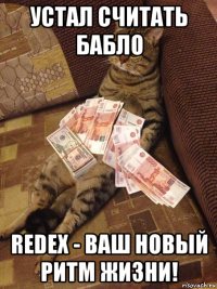 устал считать бабло redex - ваш новый ритм жизни!