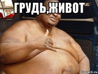 грудь,живот 