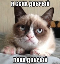 я сска добрый пока добрый