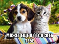  может еще и отсосать тебе