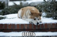  ответь