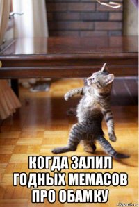  когда залил годных мемасов про обамку