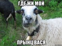где жи мой прынц вася