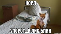 нсрл упорот...й лис блин
