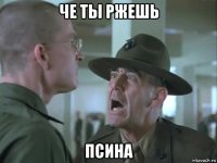 че ты ржешь псина