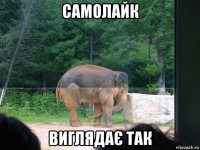 самолайк виглядає так