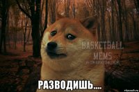  разводишь....