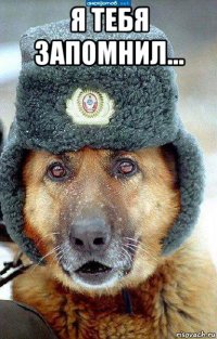 я тебя запомнил... 