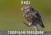 я иду совячьею походкой