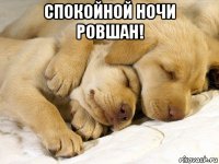 спокойной ночи ровшан! 