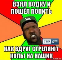 взял водку и пошёл попить как вдруг стреляют копы на нашик