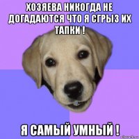 хозяева никогда не догадаются что я сгрыз их тапки ! я самый умный !