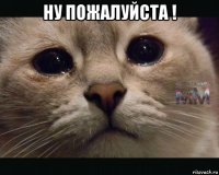 ну пожалуйста ! 