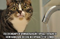  лесосибирск уникальный город, только в нём каждую весну из крана течёт пиво