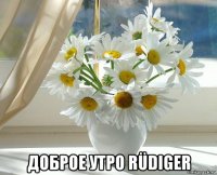  доброе утро rüdiger
