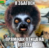 я збагоен прям как птица на ветвях