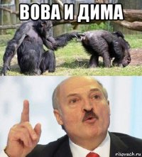 вова и дима 
