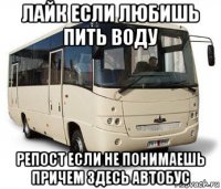 лайк если любишь пить воду репост если не понимаешь причем здесь автобус