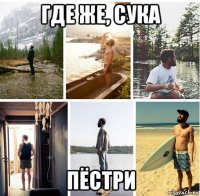 где же, сука пёстри