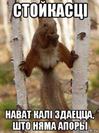 стойкасці нават калі здаецца, што няма апоры