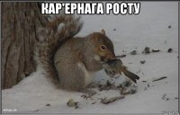 кар'ернага росту 