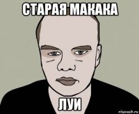 старая макака луи