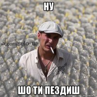 ну шо ти пездиш