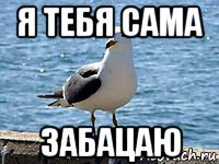 я тебя сама забацаю
