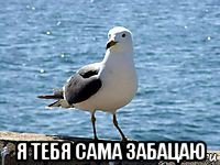  я тебя сама забацаю