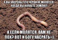 а вы уверены что черви не молятся, когда вы копаете землю? а если молятся, вам не пох? вот и богу насрать=)
