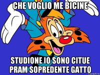 che voglio me bicine studione io sono citue pram sopredente gatto