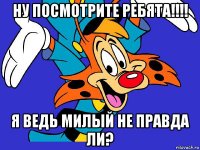 ну посмотрите ребята!!!! я ведь милый не правда ли?