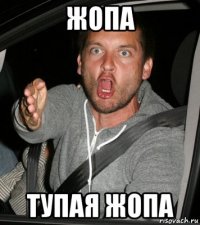 жопа тупая жопа