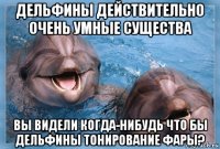 дельфины действительно очень умные существа вы видели когда-нибудь что бы дельфины тонирование фары?