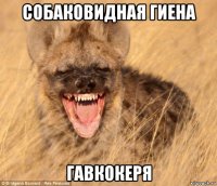 собаковидная гиена гавкокеря