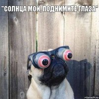 "Солнца мои, поднимите глаза"  