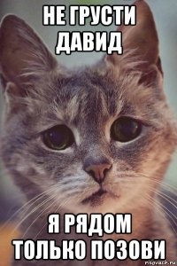 не грусти давид я рядом только позови
