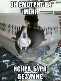 он смотрит на меня искра, буря, безумие.