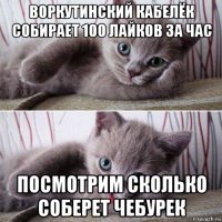 воркутинский кабелëк собирает 100 лайков за час посмотрим сколько соберет чебурек