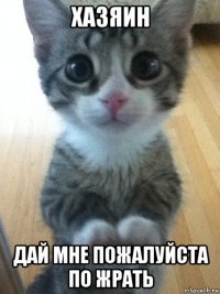 хазяин дай мне пожалуйста по жрать