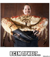  всем привет...