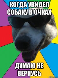 когда увидел собаку в очках думаю не вернусь