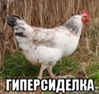  гиперсиделка