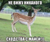 не вижу никакого сходства с майей!))