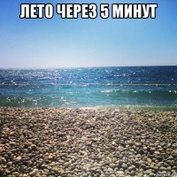 лето через 5 минут 