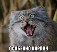  особенно кирпич