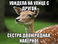 увидела на улице с другой сестра двоюродная, наверное